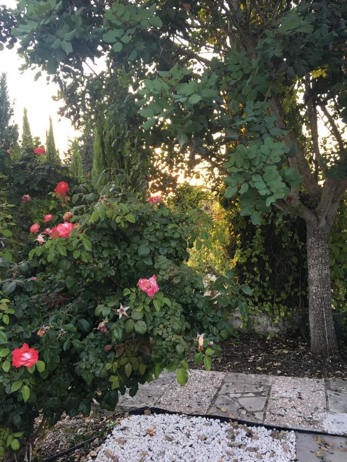 Villa Demelida In Tsada, Paphos