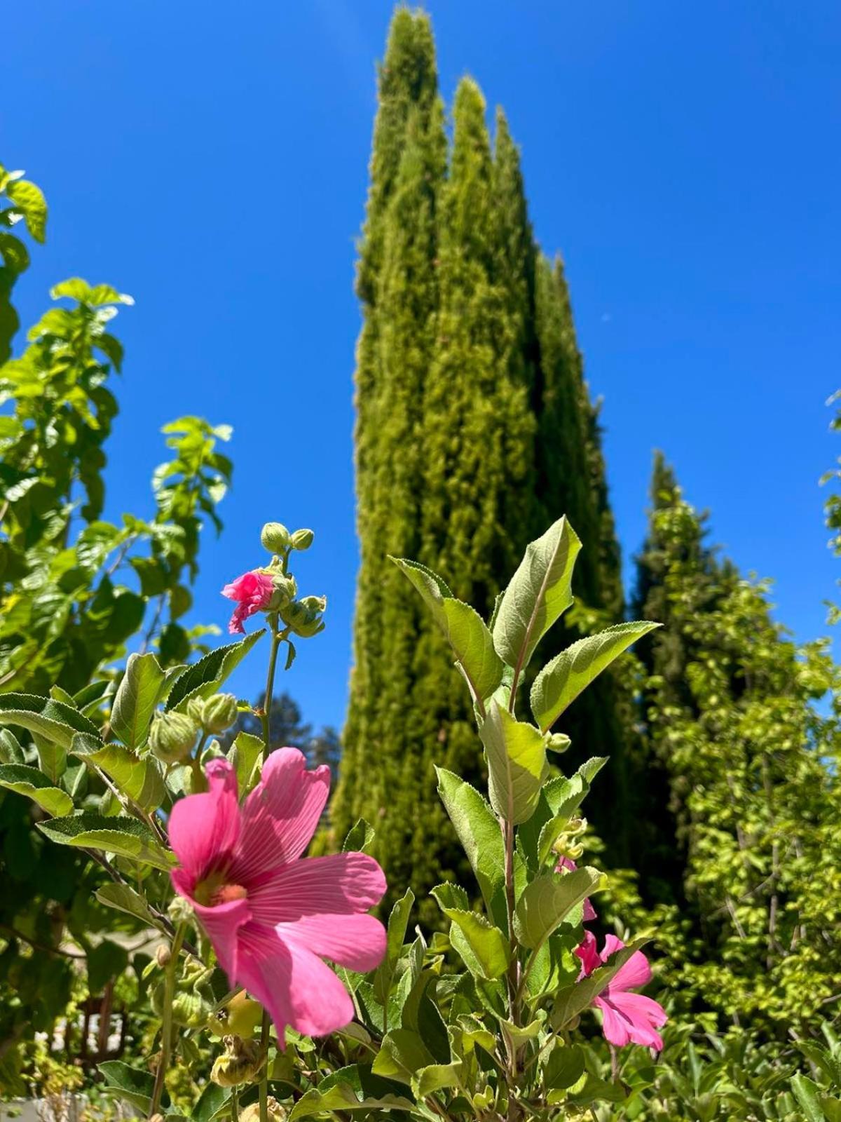 Demelida In Tsada, Paphos Villa
