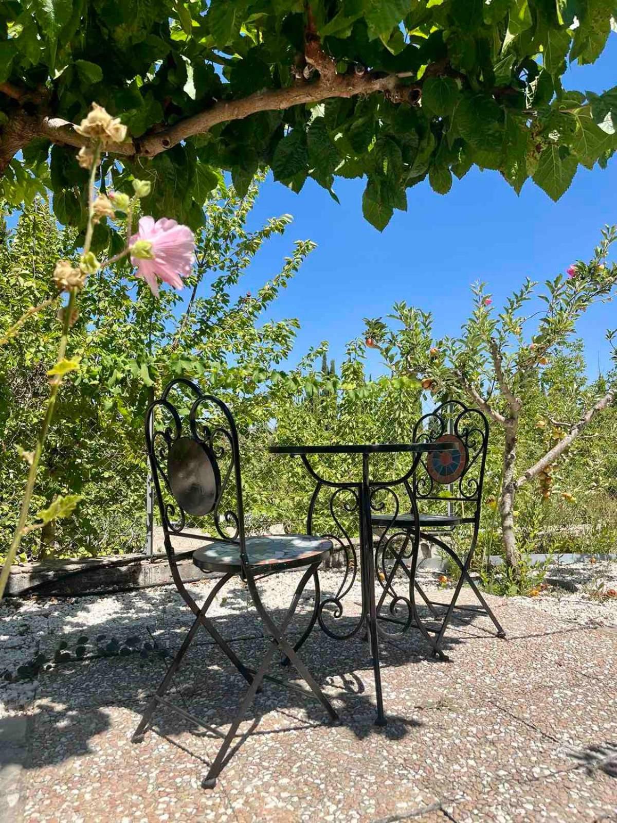 Villa Demelida In Tsada, Paphos